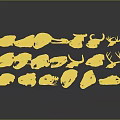 White Outlined Animal Skull Specimens Arranged Neatly in Display Rows on Dark Background