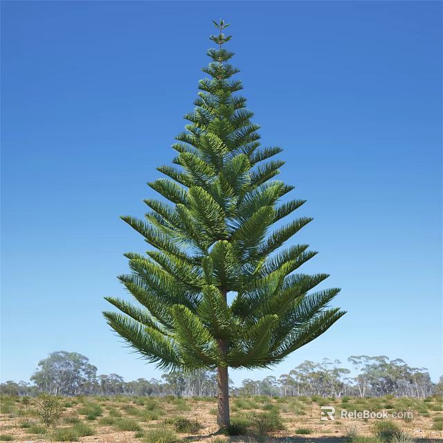 Tall Evergreen Arbor with Lush Foliage Against Clear Blue Sky and Distant Trees 3d model 