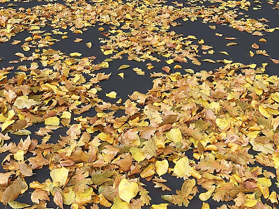 Fallen Autumn Leaves Scattered On Dark Ground With Yellow Brown Tones 3d model