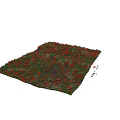Vibrant Bushes Surrounded by Red Poppies White Daisies and Green Grass in Lush Meadow