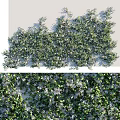 Lush Green Plant Wall With White Small Flowers For Indoor Living Decoration