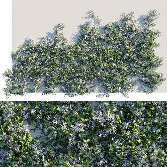 Modern Plant Wall 3d model