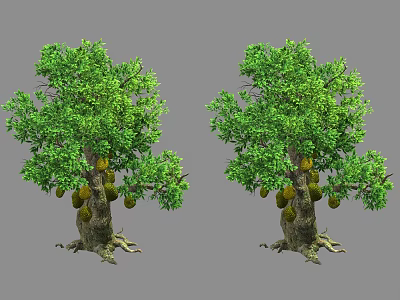 Jackfruit Trees with Lush Green Foliage Hanging Fruits Thick Trunks and Exposed Roots 3d model
