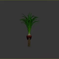 Fresh Red Onions With Green Leaves And White Roots For Healthy Cooking