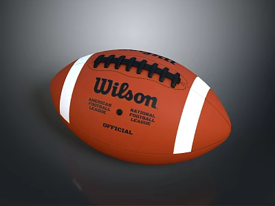 Wilson Official American Football With White Stripes And Black Laces 3d model