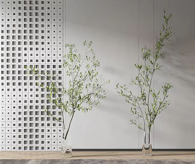Leafy Green Plants in Transparent Vases Against White Wall with Perforated Panel 3d model