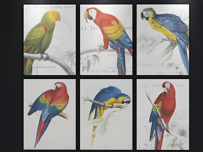 Colorful Parrot Animal Paintings Perched on Branches in Vintage Hand Drawn Style 3d model
