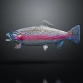 Vibrant Rainbow Trout With Pink And Blue Hues And Spotted Pattern