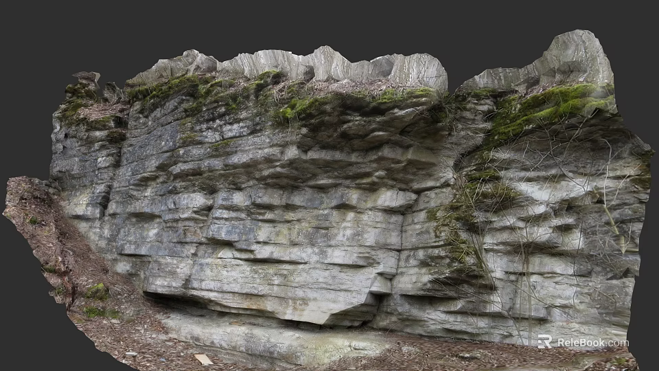 Natural Microtopography of Rocky Cliff with Layered Structure Green Moss and Fallen Leaves 3d model 