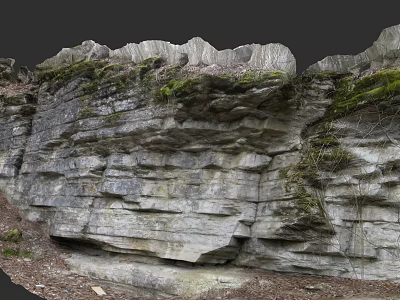 Natural Microtopography of Rocky Cliff with Layered Structure Green Moss and Fallen Leaves 3d model