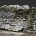 Natural Microtopography of Rocky Cliff with Layered Structure Green Moss and Fallen Leaves