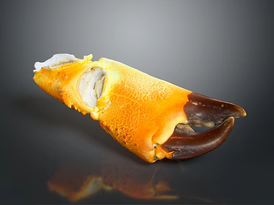 Cooked Crab Claw with Vibrant Orange Shell and Brown Tip on Black Reflective Surface 3d model