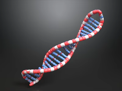 3D Rendered DNA Double Helix Structure With Red White Blue Colors On Black Background 3d model