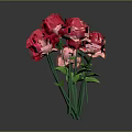 Red and Pink Roses Displayed As Single Stem And Bunch With Green Stems And Leaves