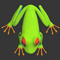 Vibrant Green Frog with Red Eyes Blue Legs and Orange Toes on Dark Reflective Surface