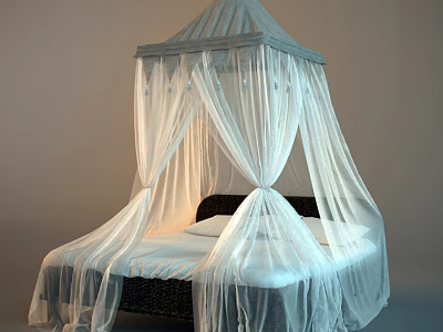 Elegant Double Bed With White Sheer Mosquito Net Black Frame And White Bedding 3d model