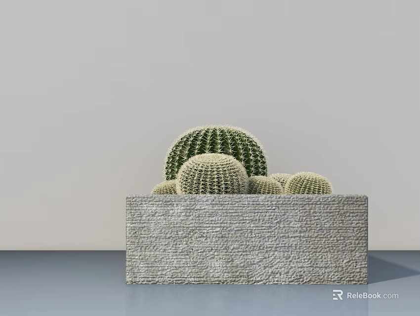 Stylish Bonsai Potted Plant With Textured Rectangular Stone Planter And Multiple Round Cacti 3d model 