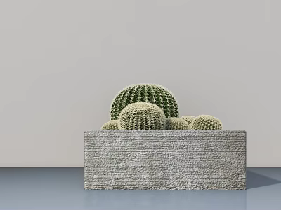 Stylish Bonsai Potted Plant With Textured Rectangular Stone Planter And Multiple Round Cacti 3d model