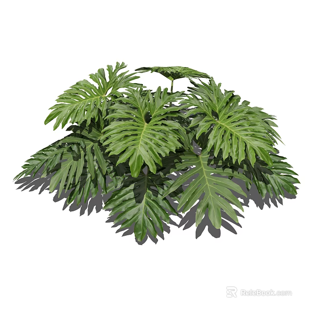 Lush Tropical Green Plant With Vibrant Large Leaves For Indoor Decoration 3d model 