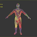 Detailed Spider Man Black Costume Full Body Standing 3D Render
