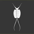 White Biomorphic Sculpture With Striped Body And Reflective Surface On Dark Background