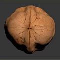 Whole Walnut Kernel With Natural Brown Shell And Smooth Surface