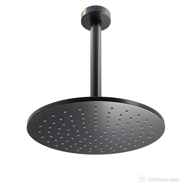 Sleek Modern Round Shower Head With Matte Black Finish And Multiple Spray Holes 3d model 