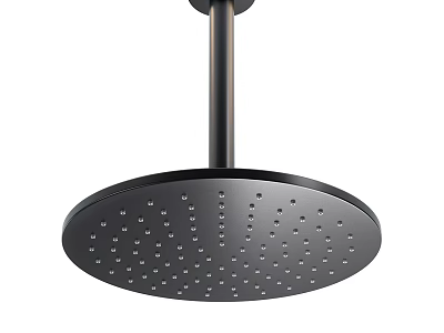 Sleek Modern Round Shower Head With Matte Black Finish And Multiple Spray Holes 3d model