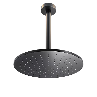 Sleek Modern Round Shower Head With Matte Black Finish And Multiple Spray Holes 3d model
