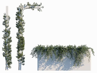 Lush Green Climbing Vines With Dense Foliage Decorating Pillars Archway And Covering White Wall 3d model