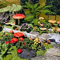 Vibrant Garden Flowers With Red Yellow Mushrooms Rabbit Ferns And Rocks