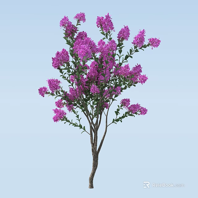 Vibrant Tree with Lush Green Foliage and Blooming Purple Flowers 3d model 