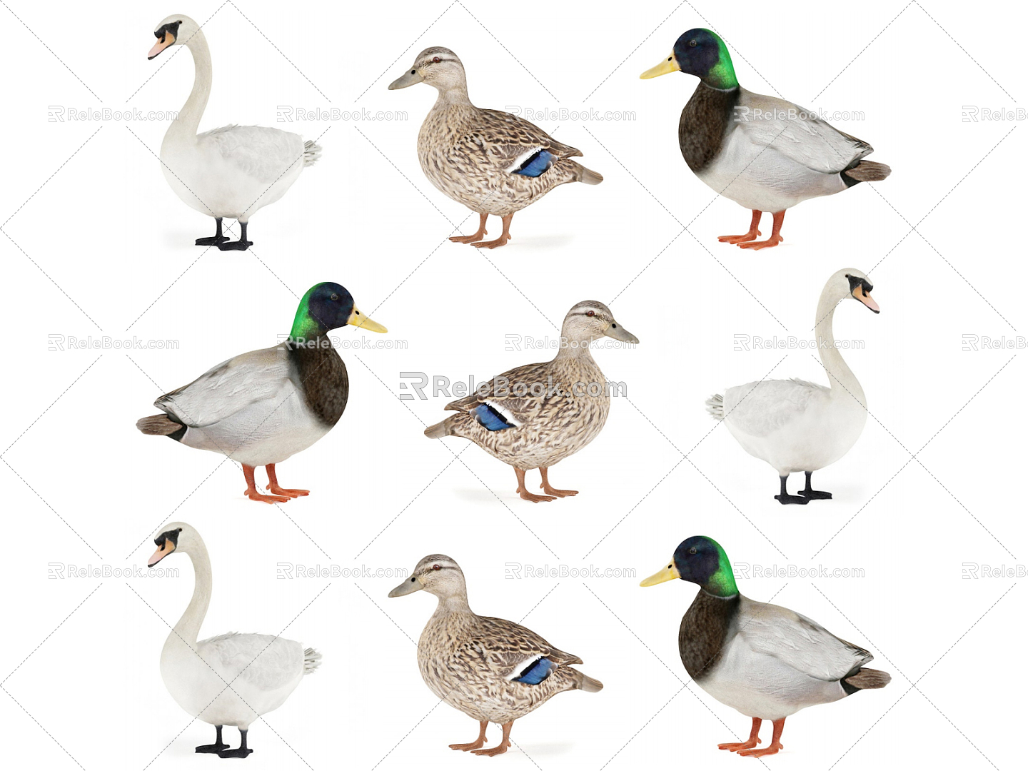 Modern Duck Poultry 3d model