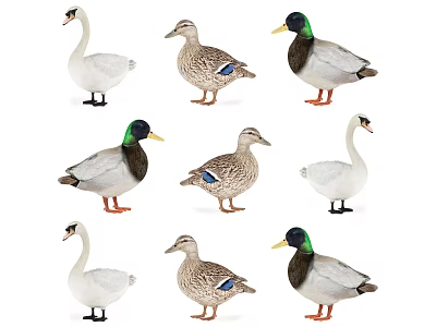 Various Types of Reptiles Including Lizards and Turtles Arranged in Three Rows on White Background 3d model