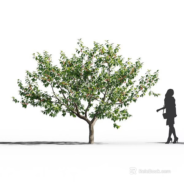 Tall Arbor with Green Leaves Standing Beside Walking Woman Carrying Handbag 3d model 