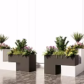 Modern Geometric Flower Planters In White And Dark Gray Holding Various Greenery And Flowers