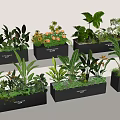 Various Green Plants And Flowers In Black Planters For Indoor Decoration