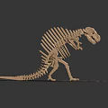 Modern Skeleton Dinosaur Skeleton 3d model