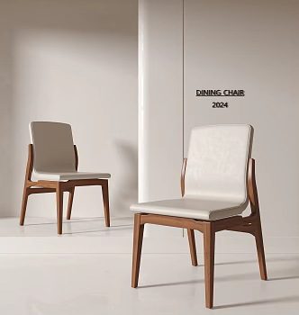 Modern Dining Chair 3d model