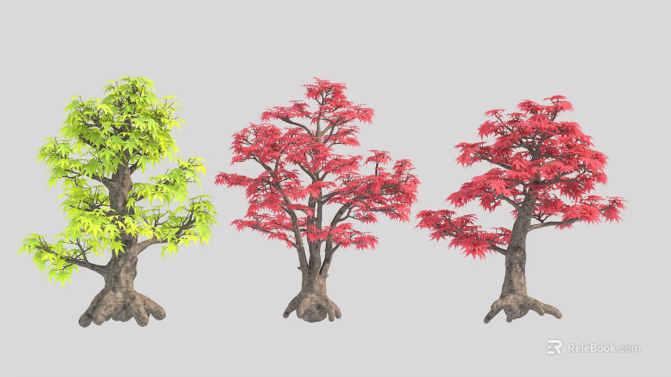 Three Arbor Trees With Green And Red Foliage Displayed With Trunks And Roots 3d model