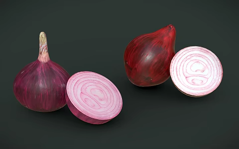 Modern Onion Vegetables 3d model