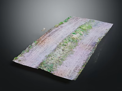 Natural Garden Landscape Design With Green Vegetation And Textured Ground Pathway Elements 3d model