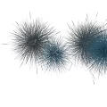 Ornamental Blue And Grayish Feathery Decorative Grasses For Landscaping Design