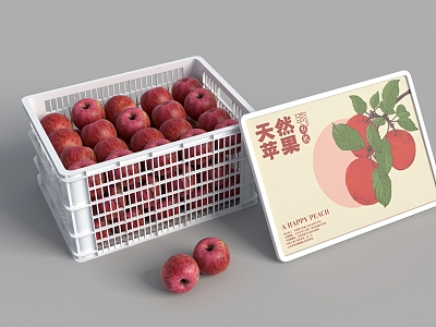 Apple Storage Box model