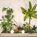 Indoor plant landscaping green plant flower box plantain spring feather plant pile flower border 3d model