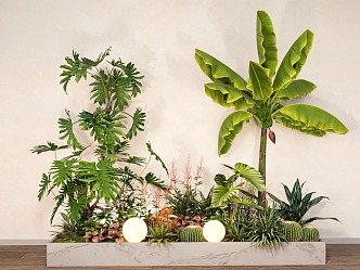 Indoor plant landscaping green plant flower box plantain spring feather plant pile flower border 3d model