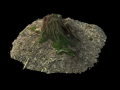 Natural Wood Tree Stump With Stones Moss And Fallen Leaves On Ground 3d model