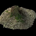 Natural Wood Tree Stump With Stones Moss And Fallen Leaves On Ground