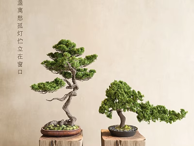 Decorative Bonsai Trees With Curved Branches And Green Foliage On Wooden Stands 3d model