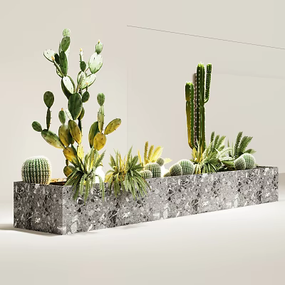 Modern Indoor Bonsai Potted Plants Featuring Gray Marble Textured Planter And Various Cacti Succulents 3d model